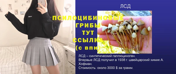 прущая мука Медвежьегорск